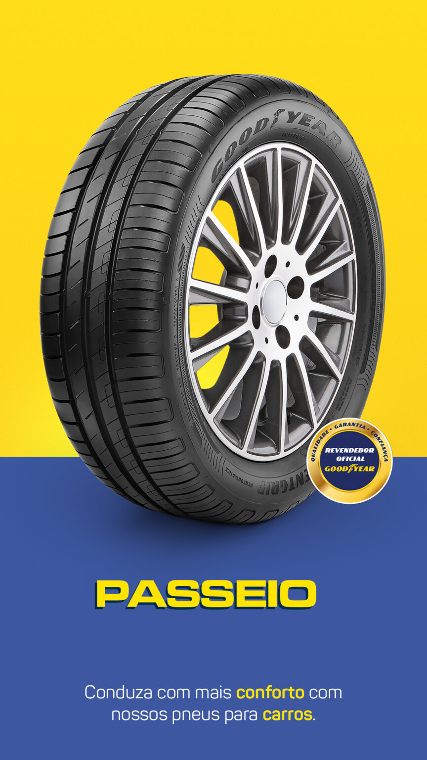 Ricamar Pneus Goodyear Passeio
