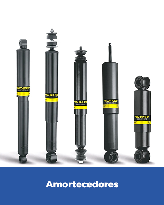 Amortecedores Monroe Ricamar Pneus